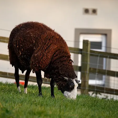 بيت ضيافة Tower View 3*