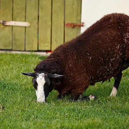 Casa de hóspedes Tower View 3*