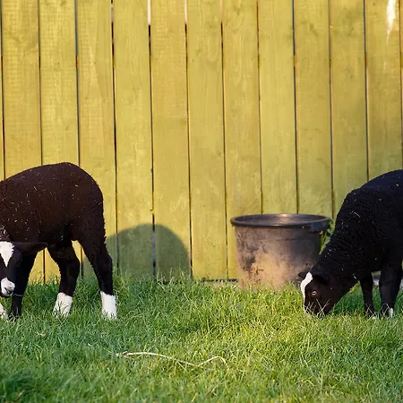 بيت ضيافة Tower View 3*