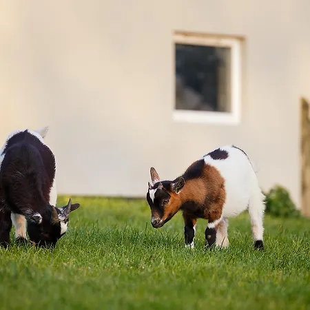 Tower View 3* Dingle