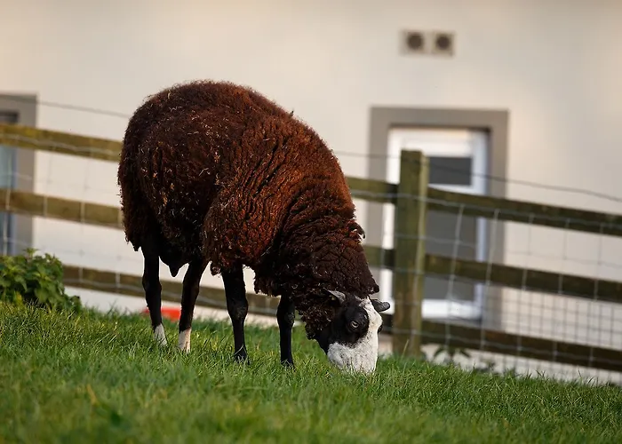 Gasthuis Tower View 3*
