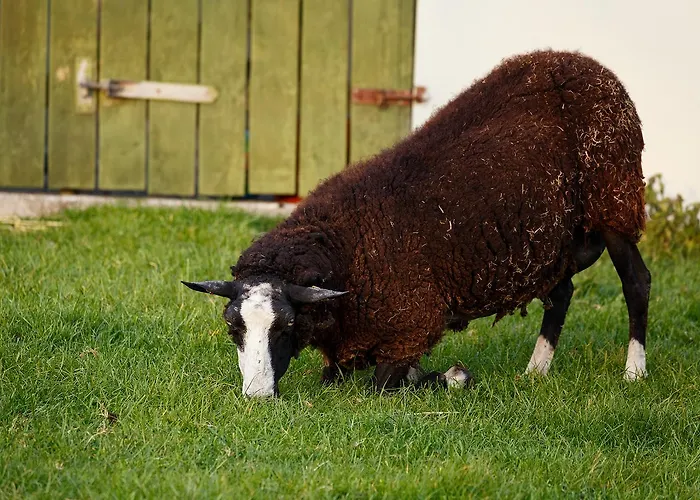 Gasthuis Tower View 3*