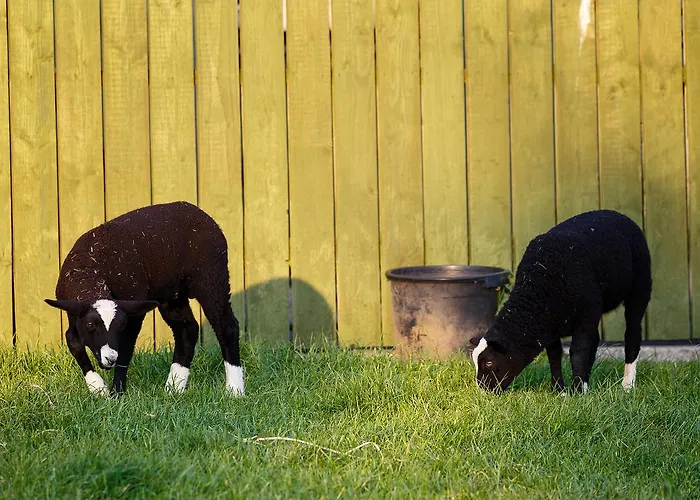 Konukevi Tower View 3*