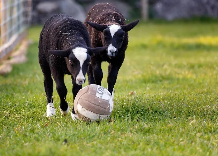 Gasthuis Tower View 3*